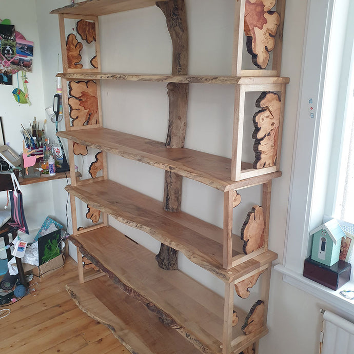 Shelving Unit Using Sycamore and Hawthorn Slices